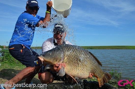 Jurnalul lui gor965: De la Party la Best in 10 zile